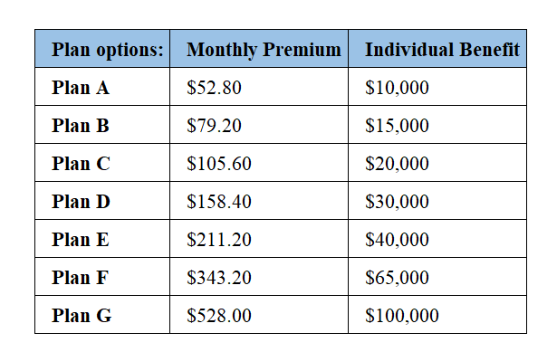 FIP Options